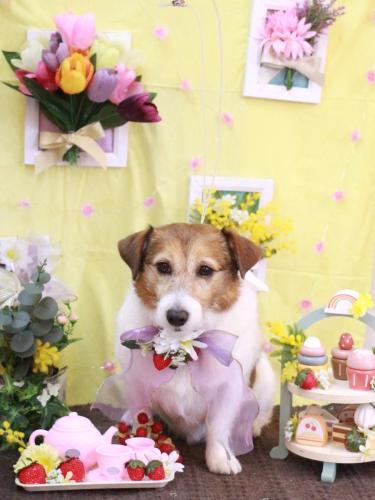 20230308こはるちゃん